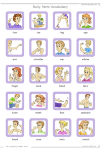 Handout Maker